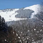 Large Chalet Apartment In Saalbach Hinterglemm