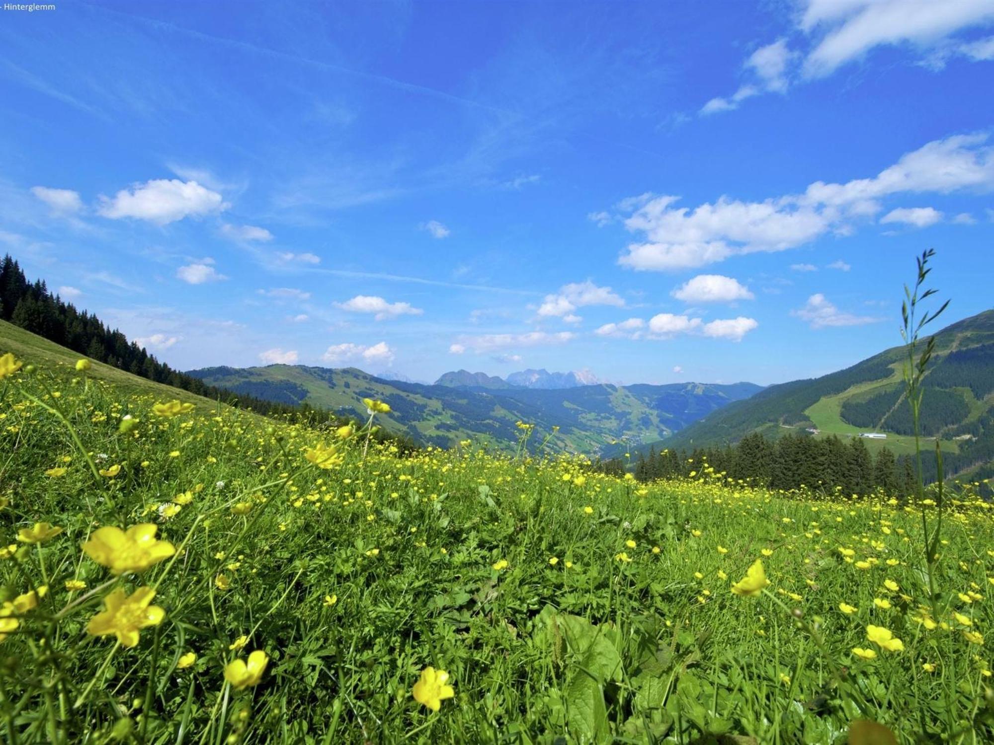Large In Hinterglemm Saalbach