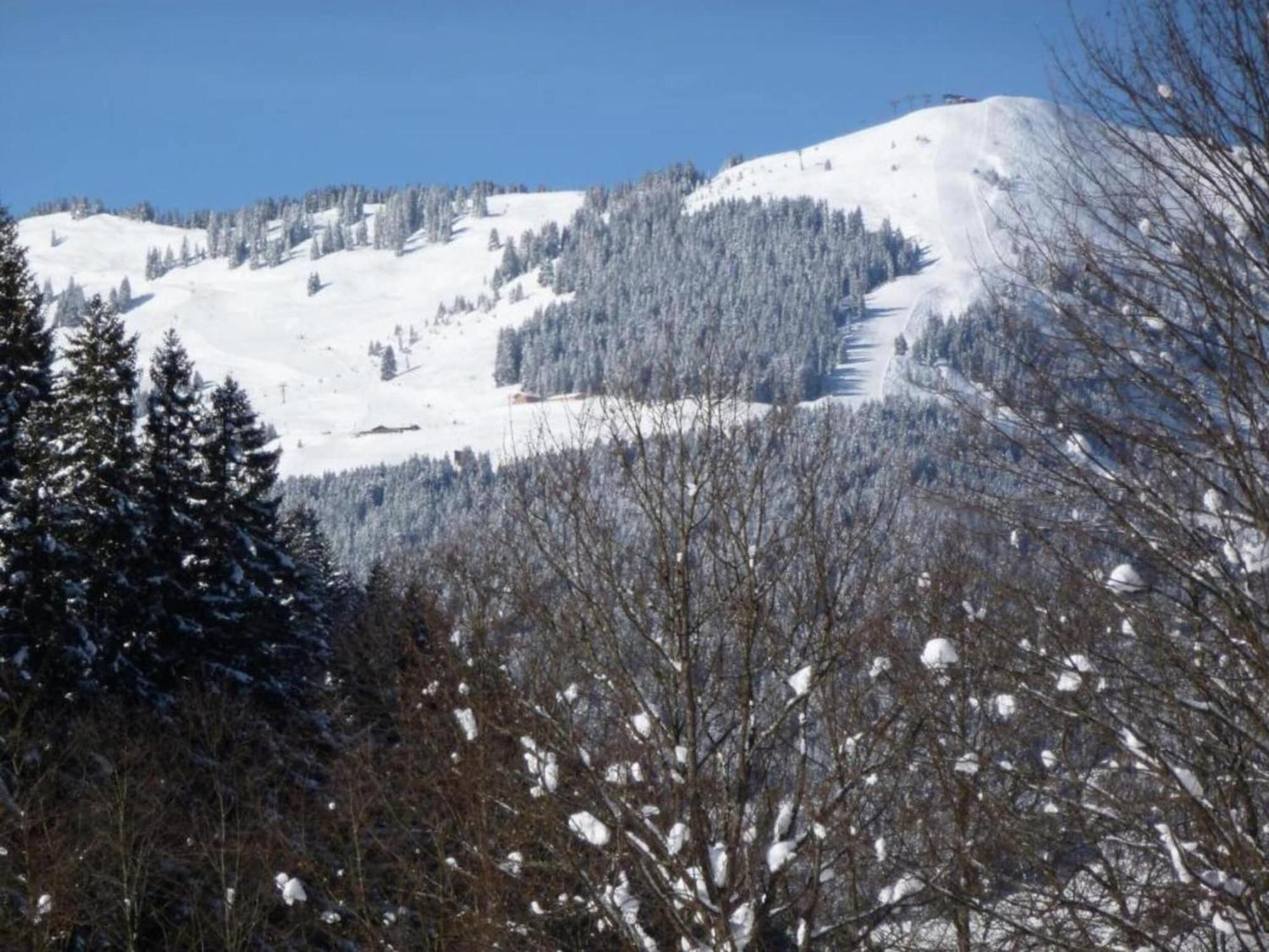 Large In Hinterglemm Chalet Saalbach-Hinterglemm