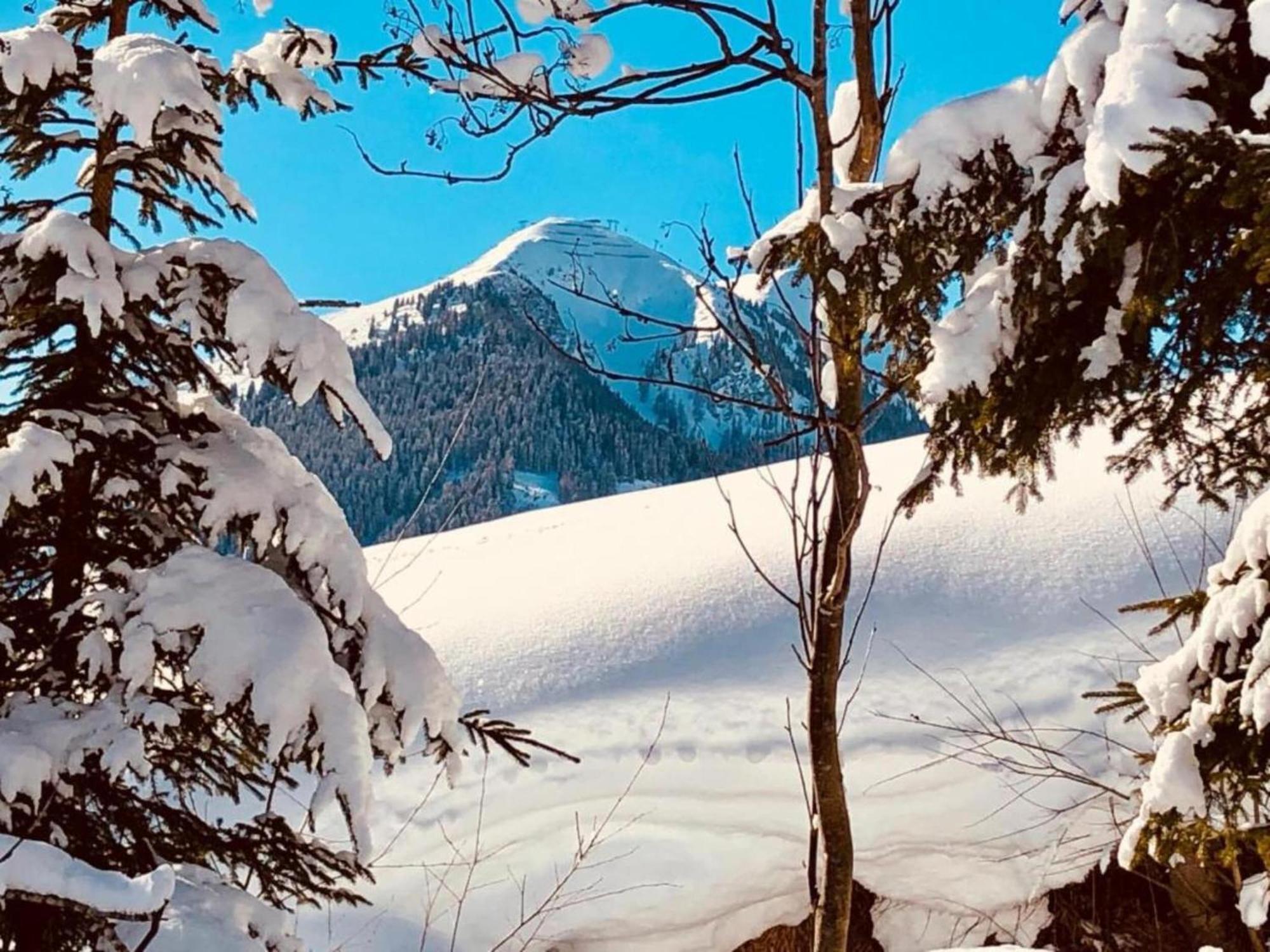 Large In Hinterglemm *